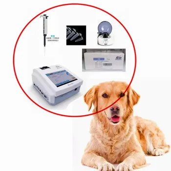 Измеритель FIA Wondfo Finecare 2 PLUS + центрифуга для анализа крови + пипетка + пробирки + прогестероновые тесты для всей собаки kti